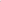 Hot Pink Straight Pant